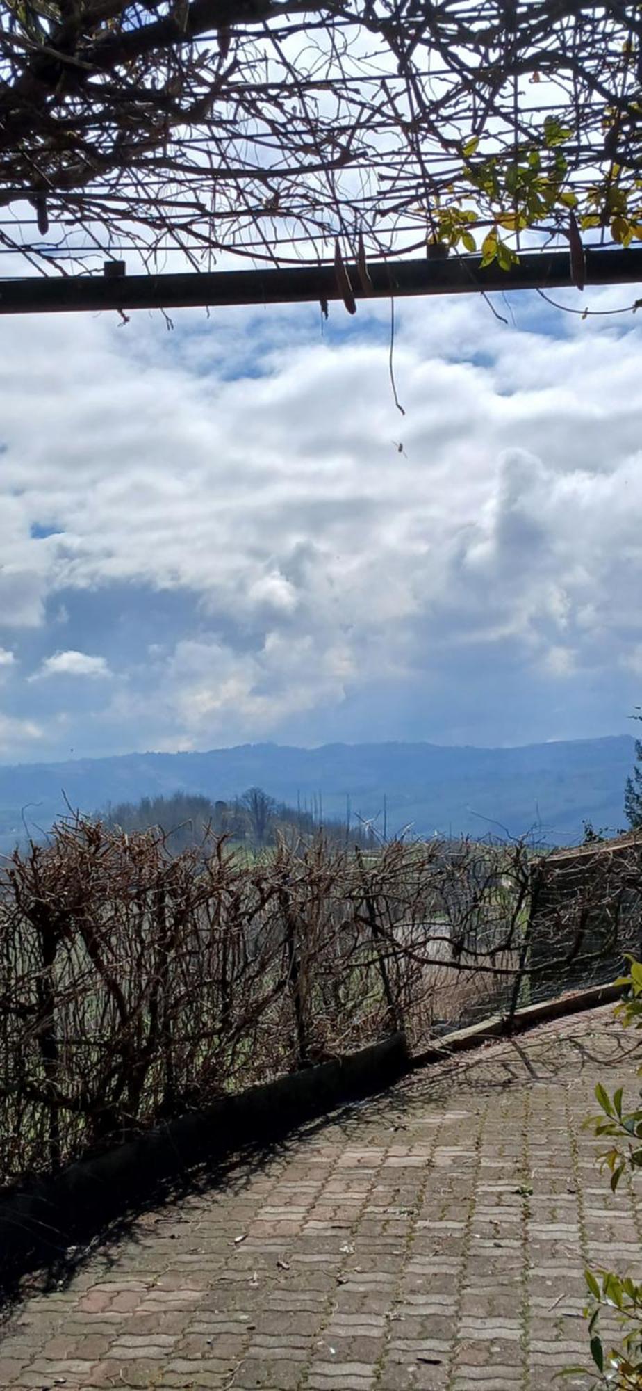 Casa Vacanza Il Colle Del Vento Calosso ภายนอก รูปภาพ