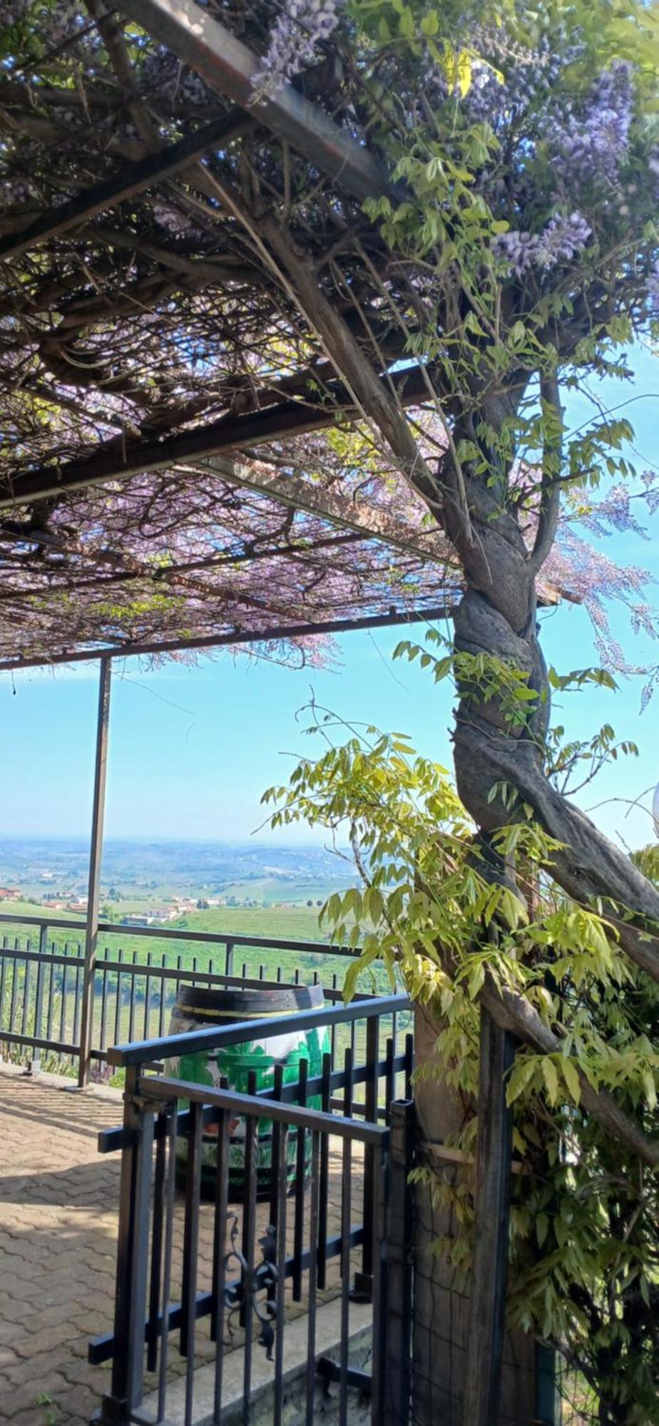 Casa Vacanza Il Colle Del Vento Calosso ภายนอก รูปภาพ